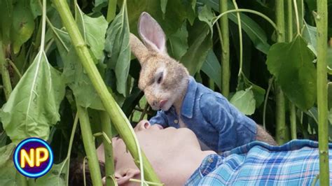 The Harvest Horror: How the Were Rabbit Curse Affects Farmers